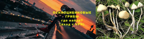 ПСИЛОЦИБИНОВЫЕ ГРИБЫ Алексин