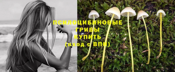 сатива Алзамай