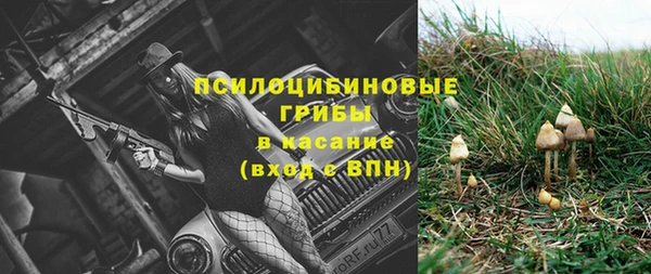 круглые Алексеевка