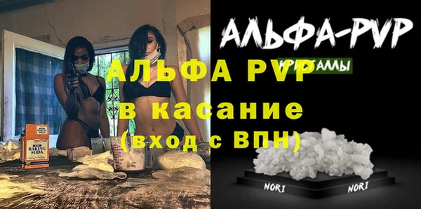 сатива Алзамай