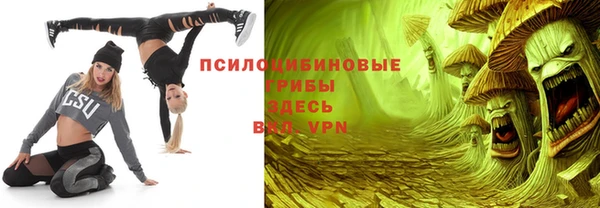 ПСИЛОЦИБИНОВЫЕ ГРИБЫ Алексин