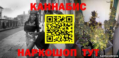 скорость Дубна