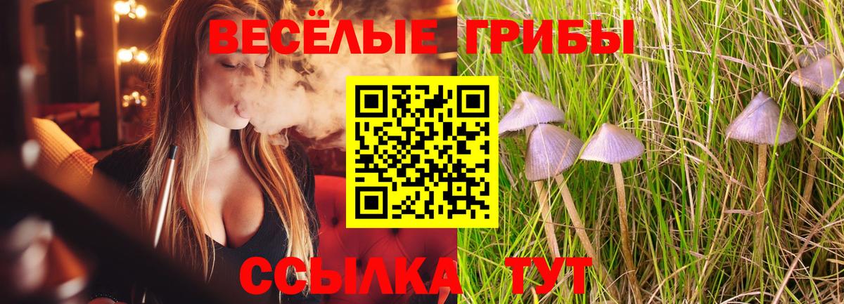 Галлюциногенные грибы Psilocybe  Галлюциногенные грибы Psilocybine cubensis  Нефтекамск  Вход с VPN 
