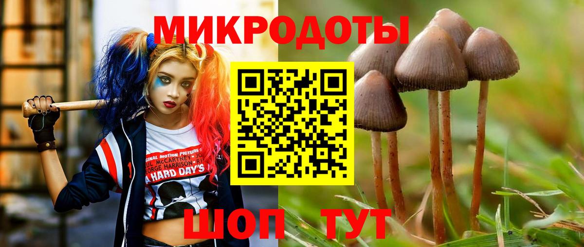 Псилоцибиновые грибы Cubensis Нефтекамск